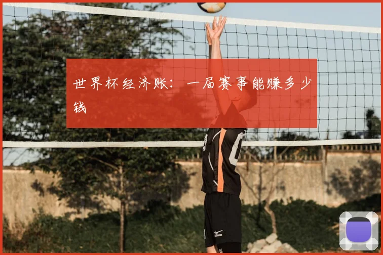 世界杯经济账：一届赛事能赚多少钱