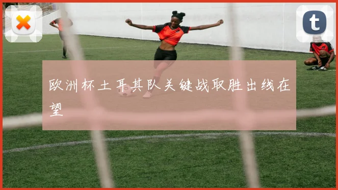 欧洲杯土耳其队关键战取胜出线在望