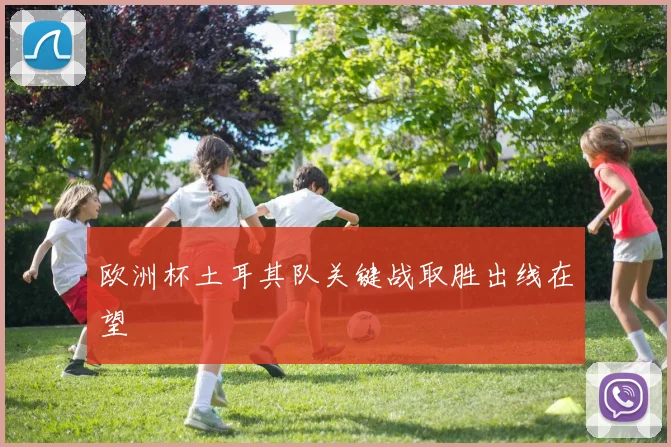 欧洲杯土耳其队关键战取胜出线在望