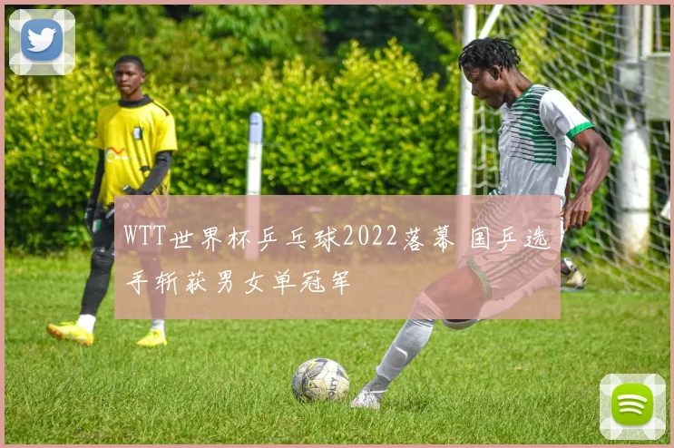 WTT世界杯乒乓球2022落幕 国乒选手斩获男女单冠军