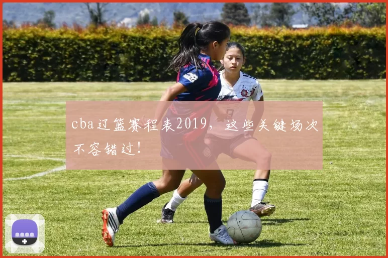 cba辽篮赛程表2019，这些关键场次不容错过！